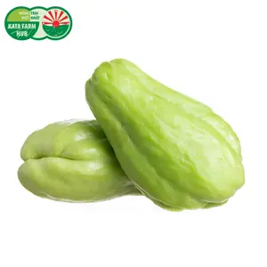 Su Su - Chayote - KATA FARM HUB