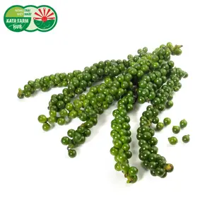 Tiêu Xanh Nguyên Chùm - Fresh Green Peppercorn Branch (100g) - KATA FARM HUB