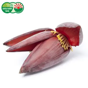 Hoa (Bắp) Chuối - Banana Flower - KATA FARM HUB