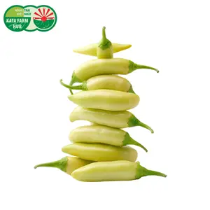 Ớt Xiêm Trắng - White Chillies (50g) - KATA FARM HUB
