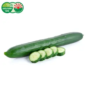 Dưa Leo Nhật - Japanese Cucumber - KATA FARM HUB