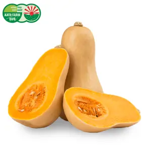 Bí Hạt Đậu - Butternut Squash - KATA FARM HUB