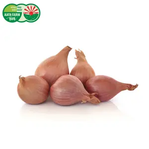 Hành Tím - Shallot (100g) - KATA FARM HUB