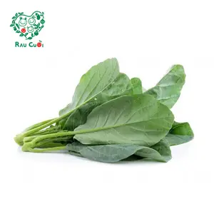 Cải Bó Xôi - Spinach (250g) - RAU CUOI VIET NHAT