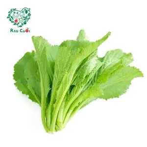 Cải Cay - Mustard Greens (250g) - RAU CUOI VIET NHAT