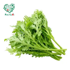 Cải Cúc - Crown Daisy (250g) - RAU CUOI VIET NHAT