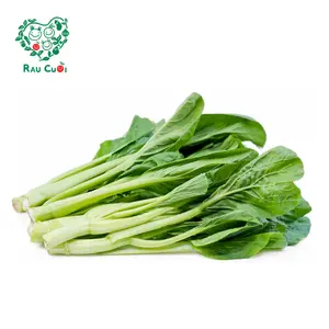 Cải Ngồng - Choy Sum (250g) - RAU CUOI VIET NHAT