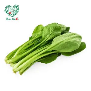 Cải Ngọt - Japanese Spinach (250g) - RAU CUOI VIET NHAT