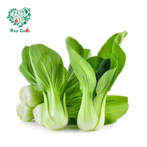 Cải Thìa - Bok Choy (250g) - RAU CUOI VIET NHAT