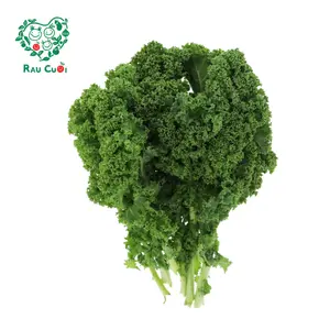 Cải Xoăn - Kale (200g) - RAU CUOI VIET NHAT
