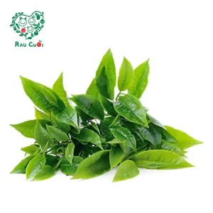 Chè Xanh - Green Tea Leaves (200g) - RAU CUOI VIET NHAT