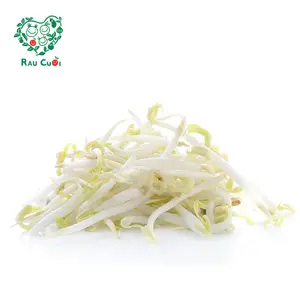 Giá Đậu Xanh - Beansprouts (250g) - RAU CUOI VIET NHAT