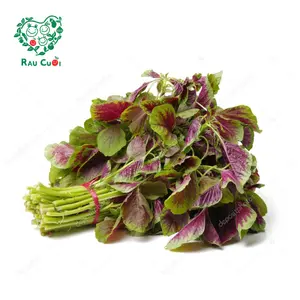 Rau Dền - Amaranth (250g) - RAU CUOI VIET NHAT