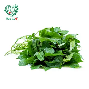 Rau Lang - Sweet Potato Buds (250g) - RAU CUOI VIET NHAT