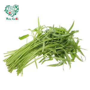 Rau Muống - Morning Glory (250g) - RAU CUOI VIET NHAT