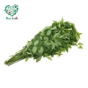 Rau Ngót Nhật - Japanese Katuk (250g) - RAU CUOI VIET NHAT