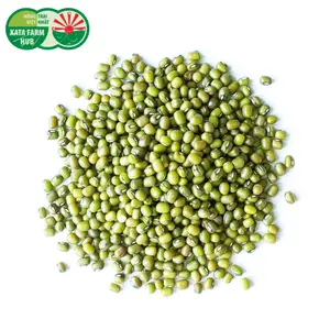Đậu Xanh Khô - Raw Mung Beans (200g) - RAU CUOI VIET NHAT