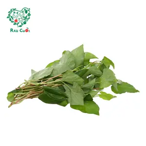 Diếp Cá - Fish Mint Leaves (50g) - RAU CUOI VIET NHAT