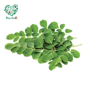 Rau Chùm Ngây - Moringa (250g) - RAU CUOI VIET NHAT