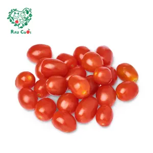 Cà Chua Bi Đỏ/Vàng - Cherry Tomatoes (200g) - RAU CUOI VIET NHAT