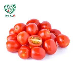 Cà Chua Trái Cây - Cherry Tomatoes (200g) - RAU CUOI VIET NHAT