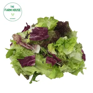 Salad Hỗn Hợp Gourmet - Gourmet Salad Mix (200g) - THE FARM HOUSE