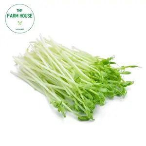 Đọt Đậu Hà Lan - Snow Pea Sprouts (50g) - THE FARM HOUSE