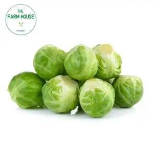 Bắp Cải Tí Hon Màu Xanh - Baby Brussel Sprouts - THE FARM HOUSE