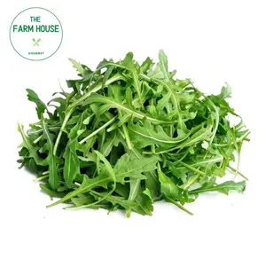 Xà Lách Rocket - Wild Rocket (100g) - THE FARM HOUSE