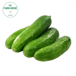 Dưa Leo Baby - Baby Cucumber - THE FARM HOUSE