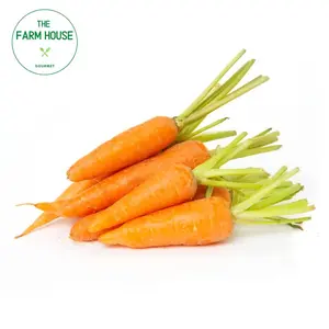 Cà Rốt Baby - Baby Carrots - THE FARM HOUSE