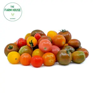 Cà Chua Bi Nhiều Màu - Multicolored Cherry Tomatoes - THE FARM HOUSE