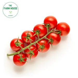 Cà Chua Bi Chùm Đỏ - Cherry Cocktail Tomatoes on The Vine - THE FARM HOUSE
