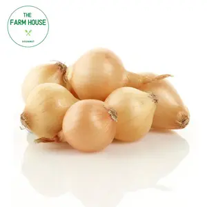 Hành Tây Baby - Baby Onions - THE FARM HOUSE