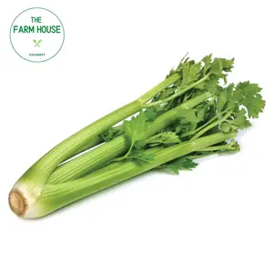 Cần Tây - Celery - THE FARM HOUSE