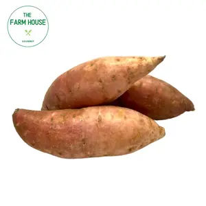 Khoai Lang Vàng - Golden Sweet Potato - THE FARM HOUSE