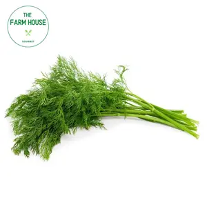 Thì Là - Dill - THE FARM HOUSE
