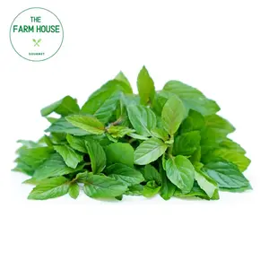 Bạc Hà Socola - Chocolate Mint (25g) - THE FARM HOUSE