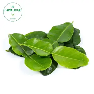 Lá Chanh Trúc - Kaffir Lime Leaves (25g) - THE FARM HOUSE