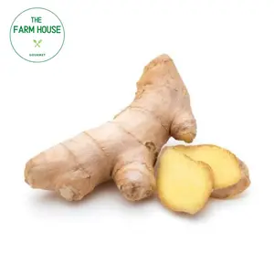 Gừng - Ginger - THE FARM HOUSE