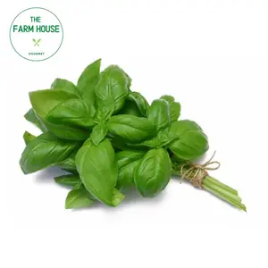 Lá Quế Tây - Basil - THE FARM HOUSE