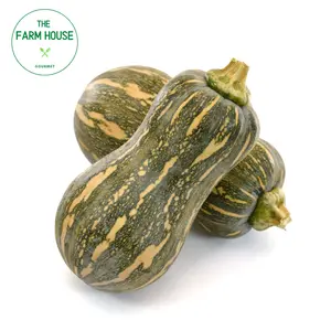 Bí Hồ Lô - Goianinha Pumpkin - THE FARM HOUSE