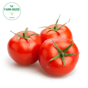 Cà Chua Thường - Tomato - THE FARM HOUSE