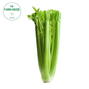 Cần Tây Không Lá - Leafless Celery Stick - THE FARM HOUSE
