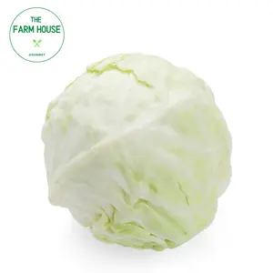 Bắp Cải Trắng - White Cabbage - THE FARM HOUSE