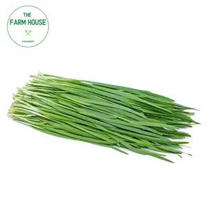 Hẹ Lá - Chive (100g) - THE FARM HOUSE