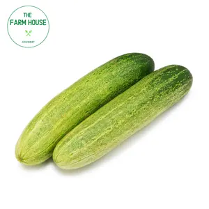 Dưa Leo Lớn - Cucumber - THE FARM HOUSE
