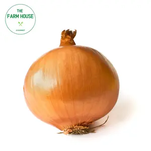 Hành Tây Lớn - Onion - THE FARM HOUSE