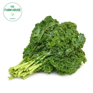 Cải Xoăn - Kale - THE FARM HOUSE