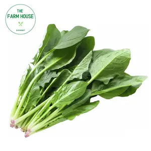 Cải Bó Xôi Giống Nhật - Spinach - THE FARM HOUSE